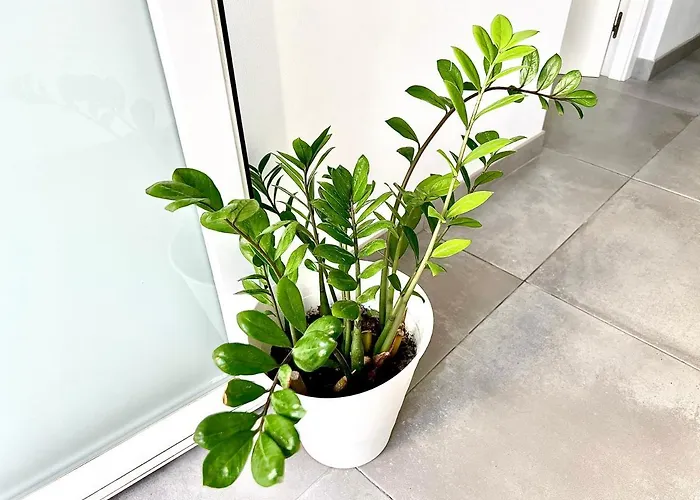 Easy House * Нерха