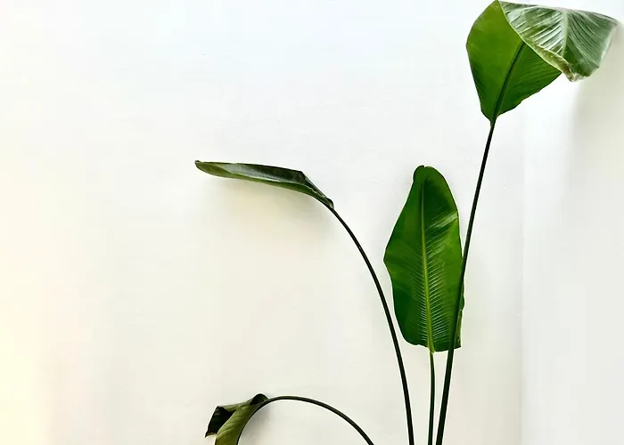 Апартаменти Easy House *