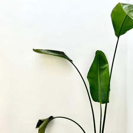 Апартаменты Easy House *