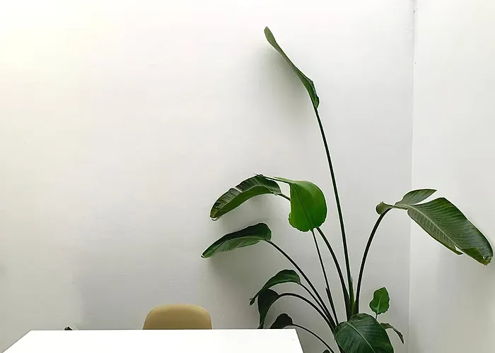 Easy House Нерха